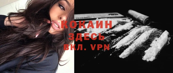 гидра Аркадак