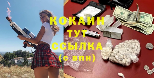 гидра Аркадак