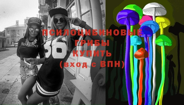 apvp Арсеньев