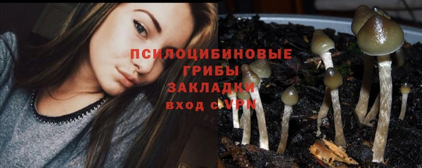 прущая мука Армянск