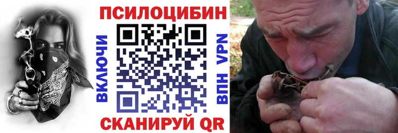 Купить  Слюдянка  Псилоцибиновые грибы Psilocybine cubensis 